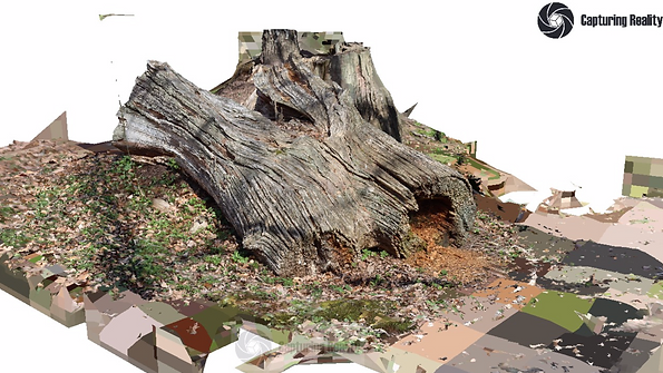 3D model created with RealityScan